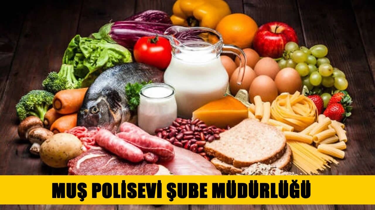 GIDA ÜRÜNLERİ SATIN ALINACAKTIR