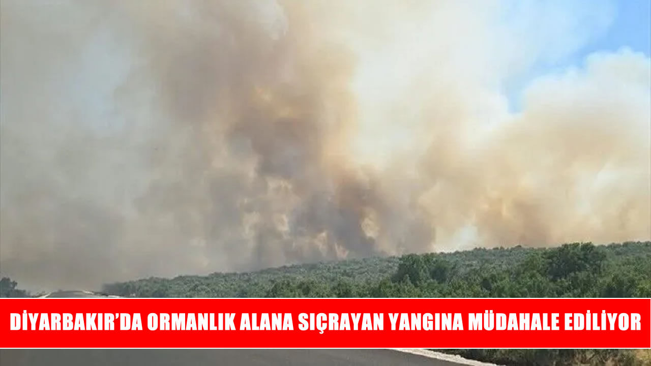Silvan’da yangın ormanlık alana sıçradı