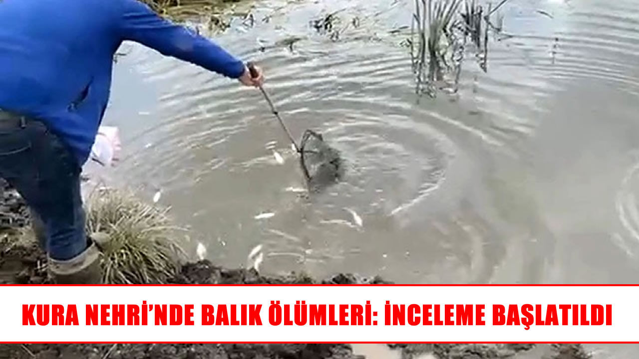 Ardahan’da Kura Nehri’nde balık ölümleri araştırılıyor
