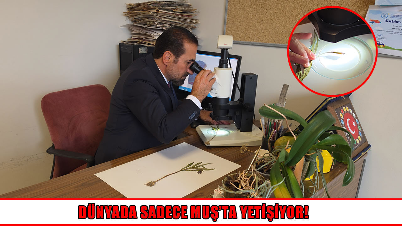Kurtik Dağı'nda bilim dünyasını heyecanlandıran keşif