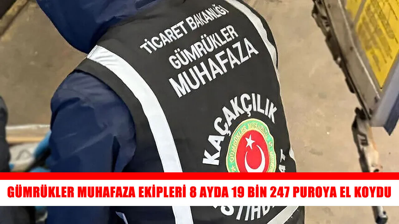 Gümrük ekiplerinden 8 ayda kaçakçılığa darbe: 19 bin 247 puro ele geçirildi
