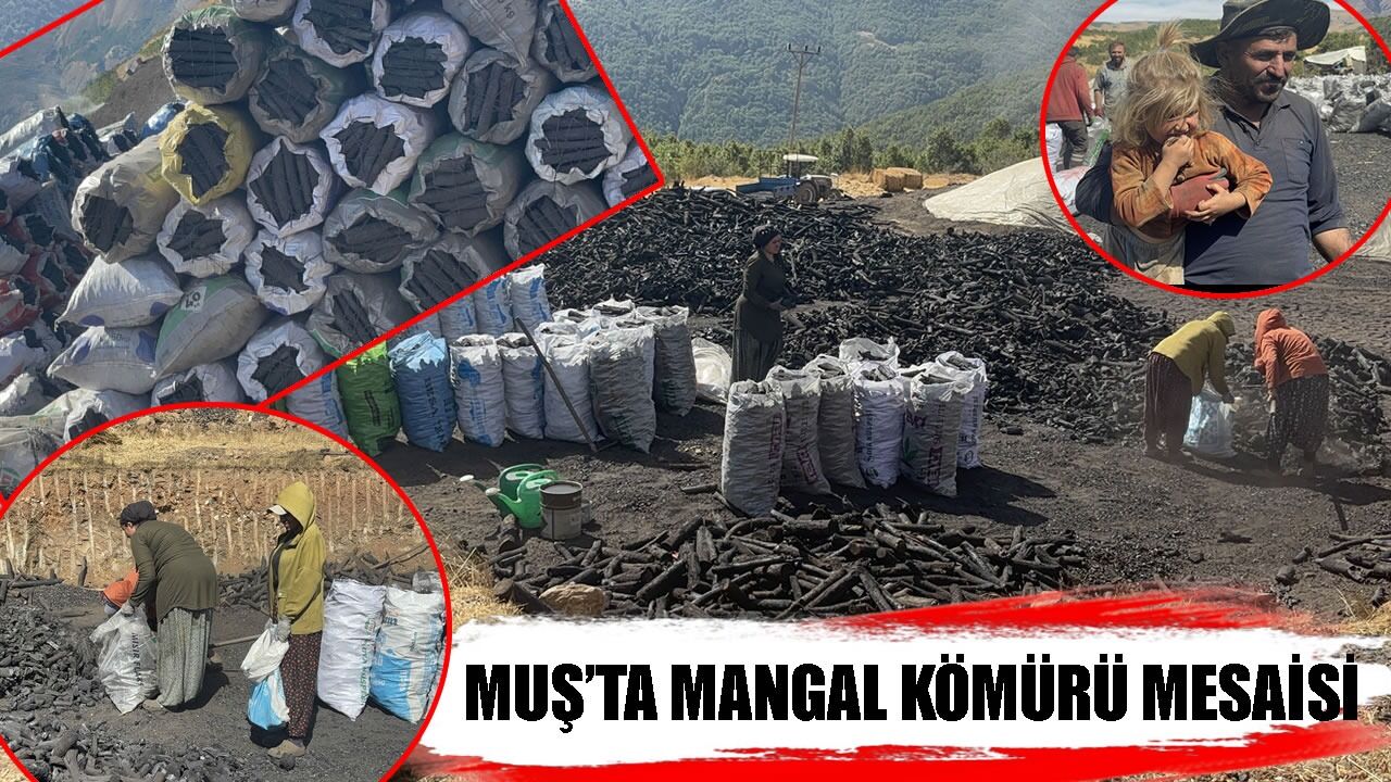 Muş’ta üretilen mangal kömürleri Türkiye'ye dağıtılıyor