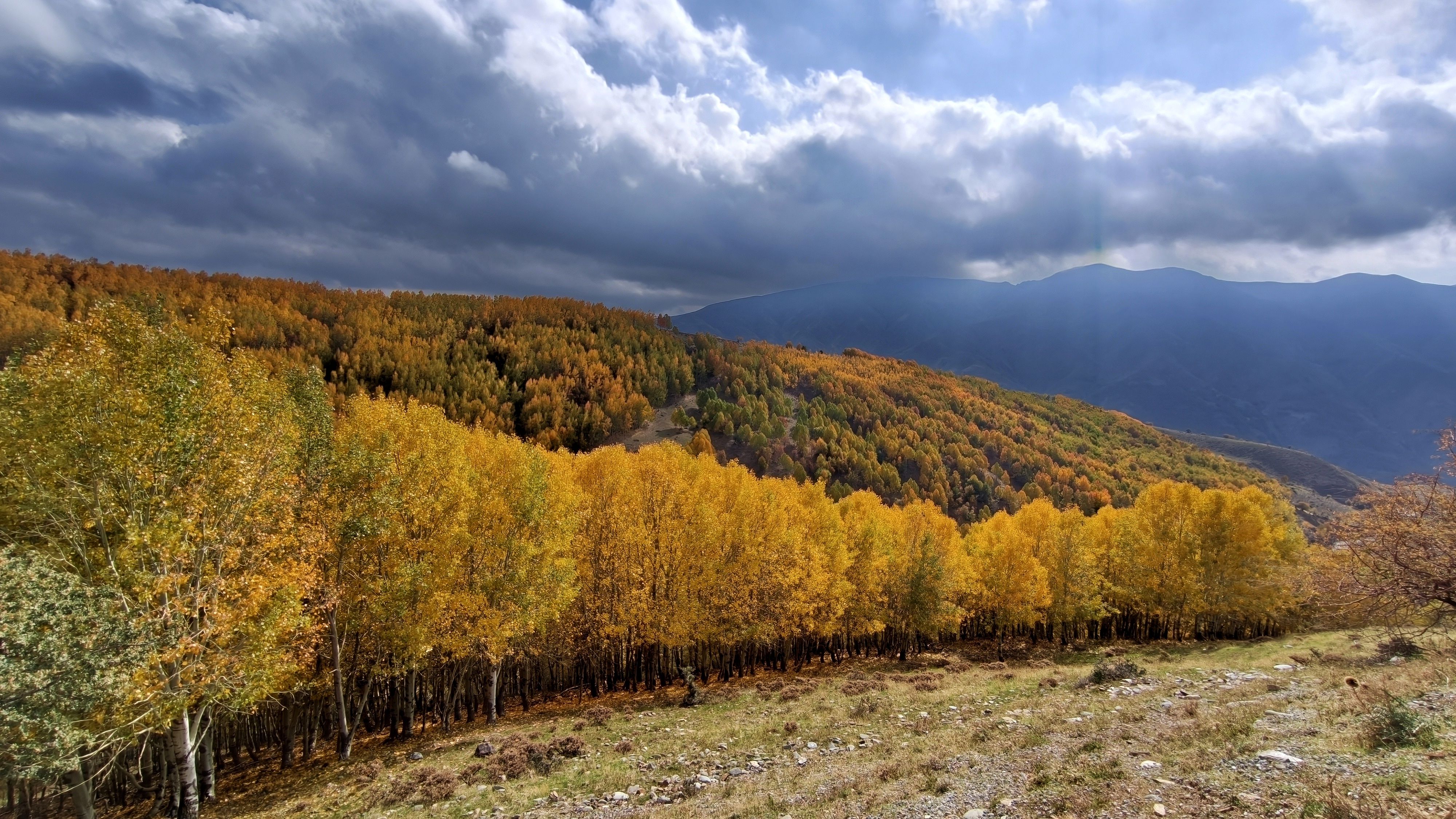 A A 20261026 42867372 42867369 M U S T A K I I L I C A Y A Y L A S I Z I Y A R E T C I L E R I N I S O N B A H A R R E N K L E R I Y L E A G I R L I Y O R