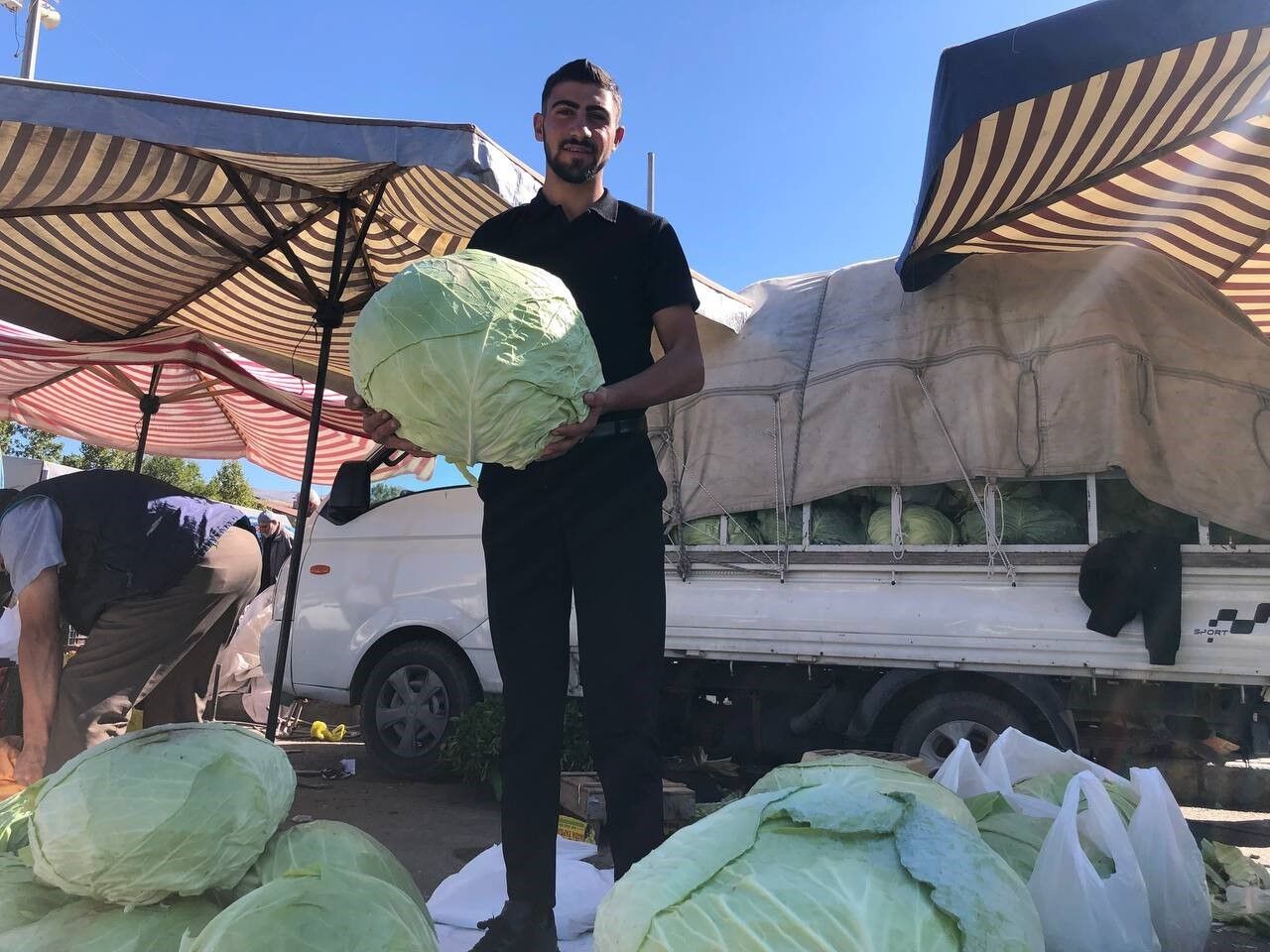 Erzincan'da turşuluk ve yemeklik lahanalar tezgahta yerini aldı