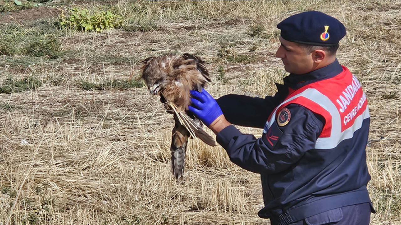 Muş Jandarma1