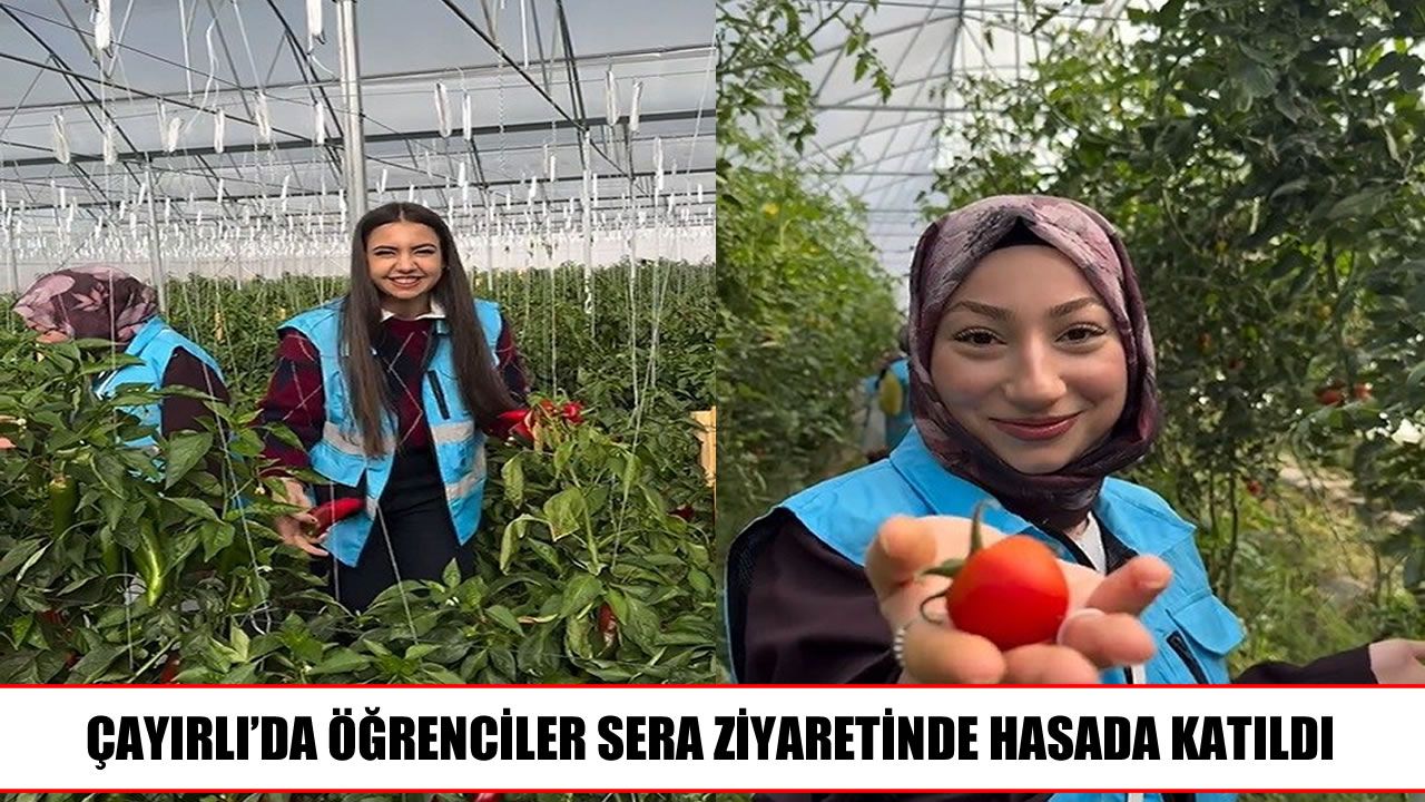 Çayırlı’da öğrenciler üretimi yerinde öğrendi