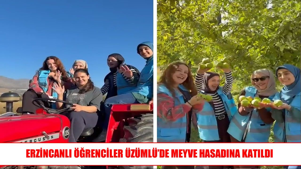 Erzincanlı öğrenciler hasat deneyimi yaşadı