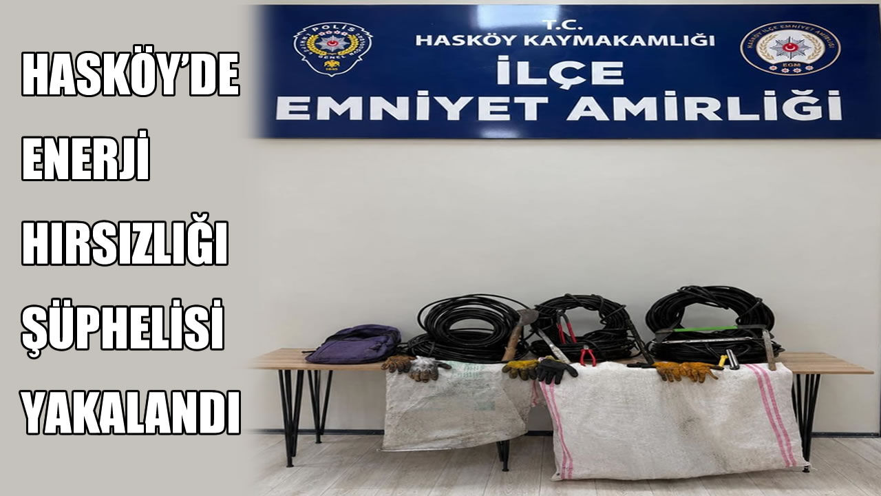 Hasköy’de enerji hırsızlığı şüphelisi yakalandı